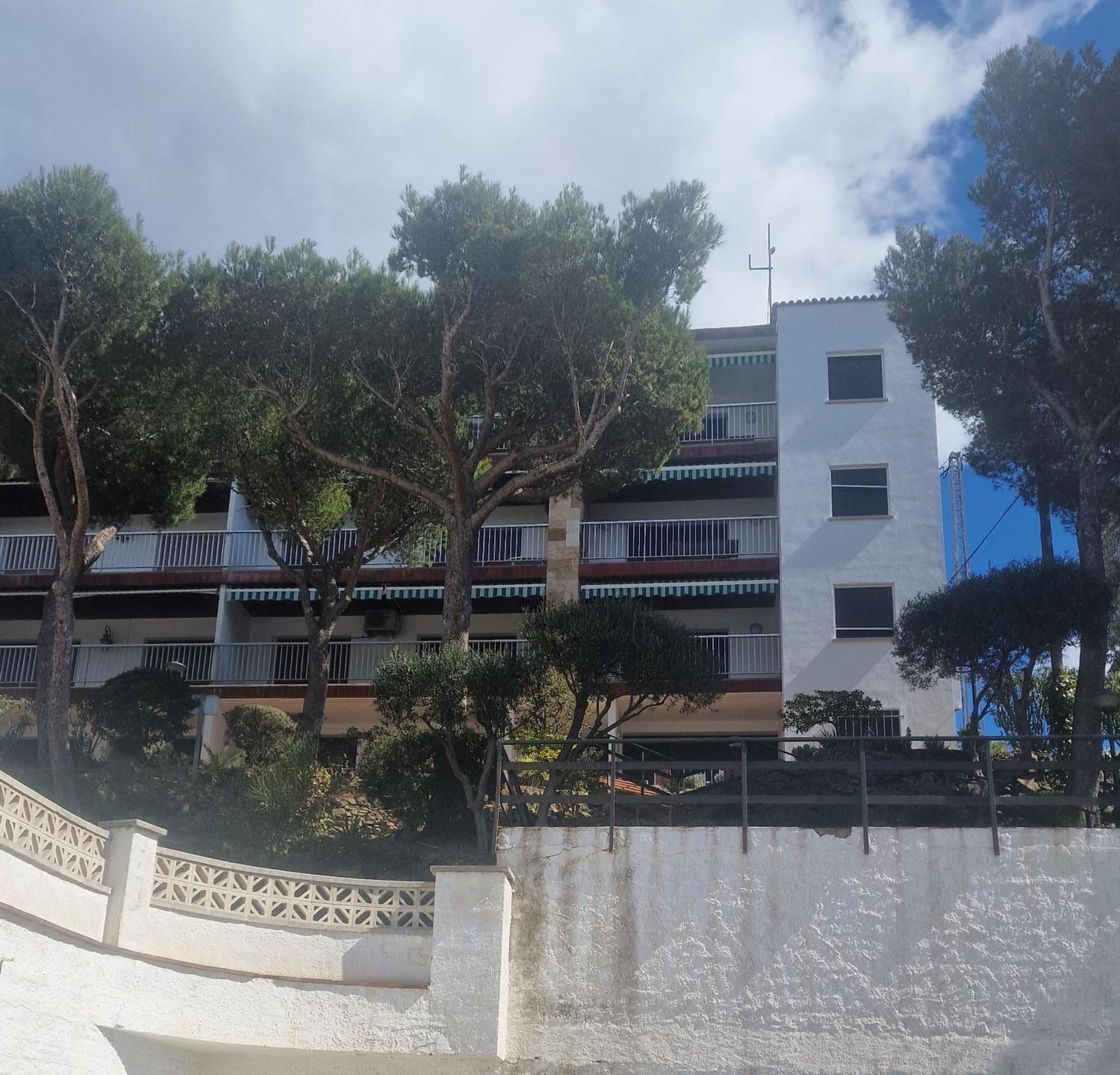 Apartament Bernie Roses